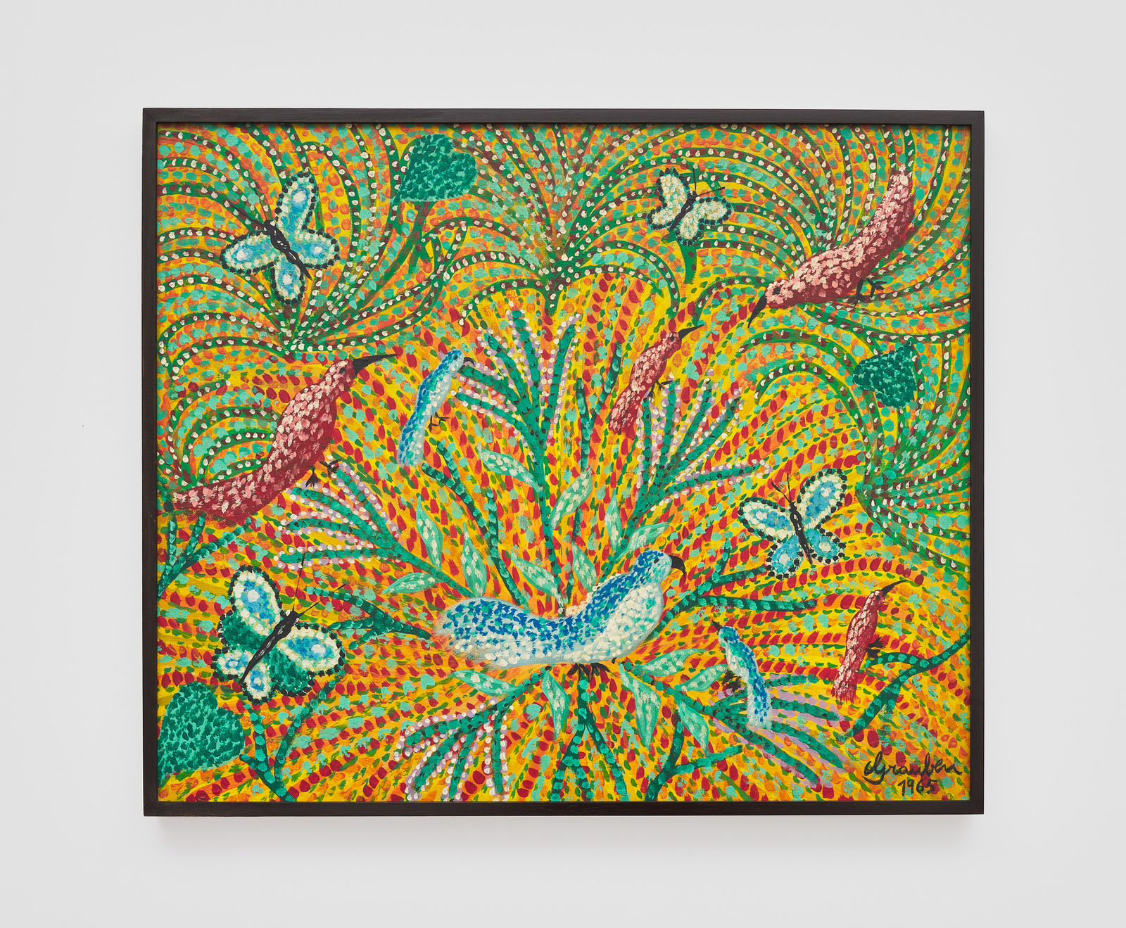 Grauben do Monte Lima, Pássaros, borboletas e vegetações, 1965