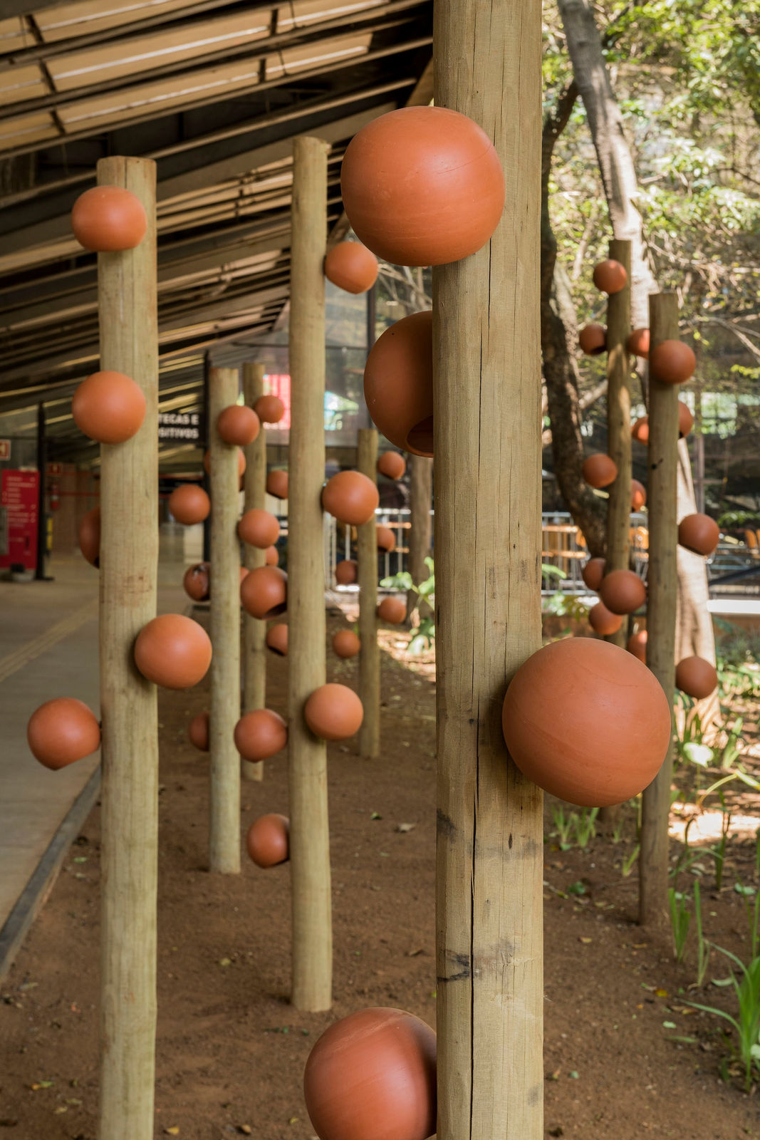 Aislan Pankararu, Brotos de ondas germinantes, 2023