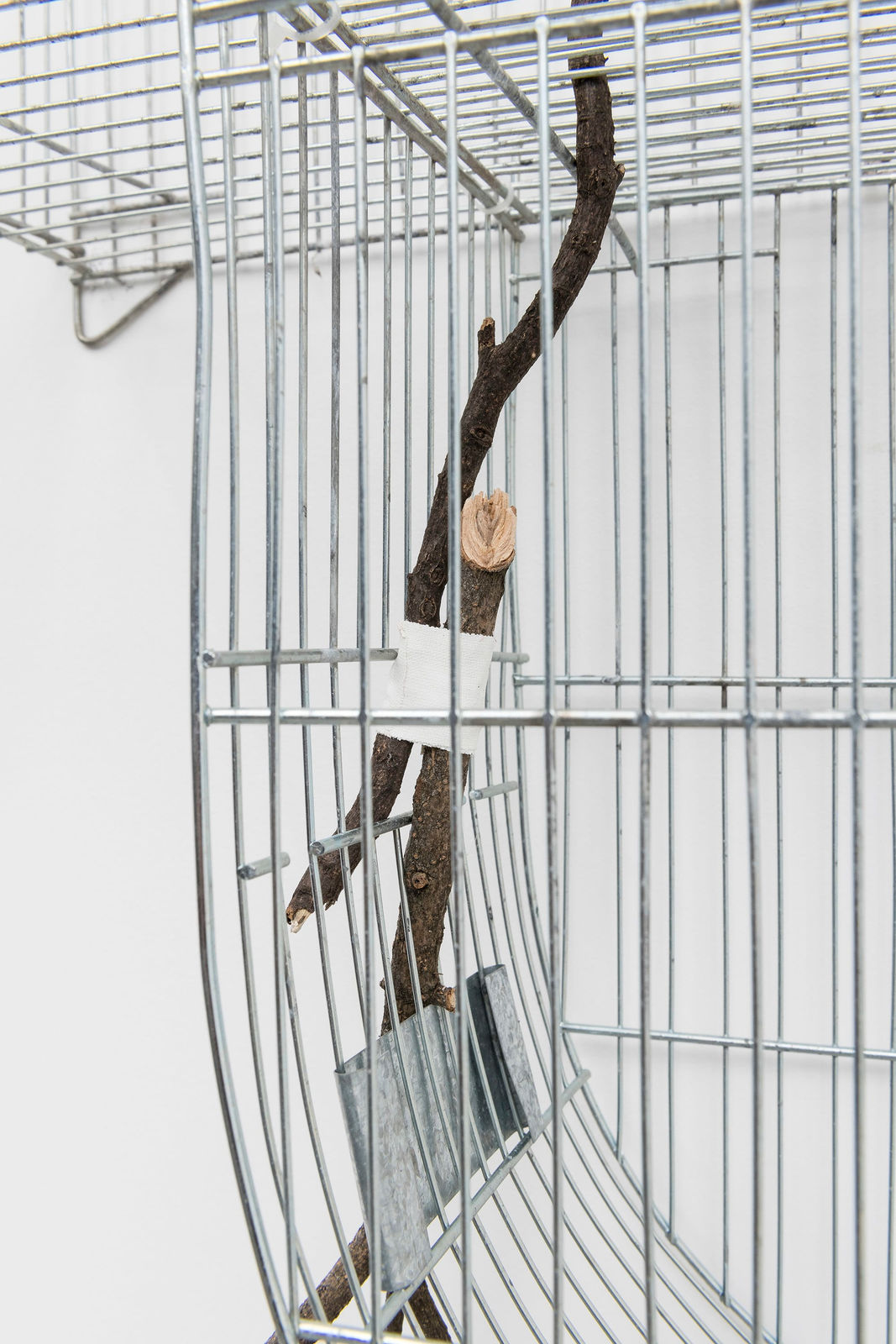 Isadora Soares Belletti, Experimentos para uma estação de cura (autorretrato) [Experiments for a healing station (self-portrait)], 2023/2025