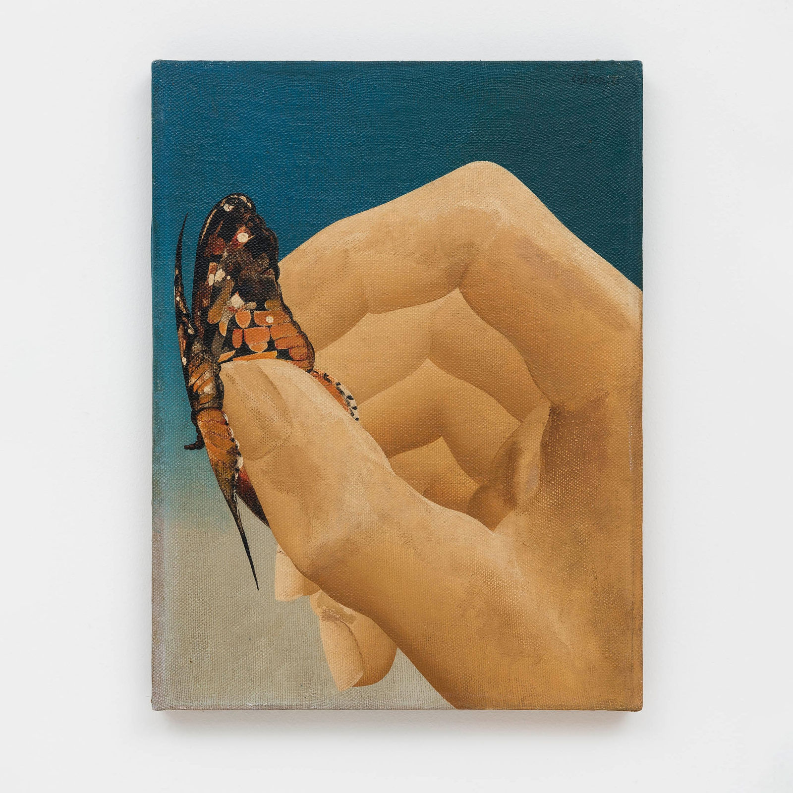 Pietrina Checcacci, Evaterra (Não sei se sou a mão ou a borboleta), 1973