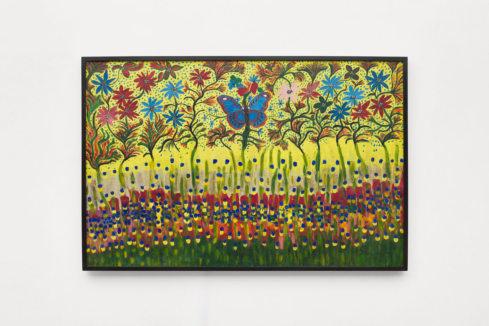 Grauben do Monte Lima, Borboleta, 1962