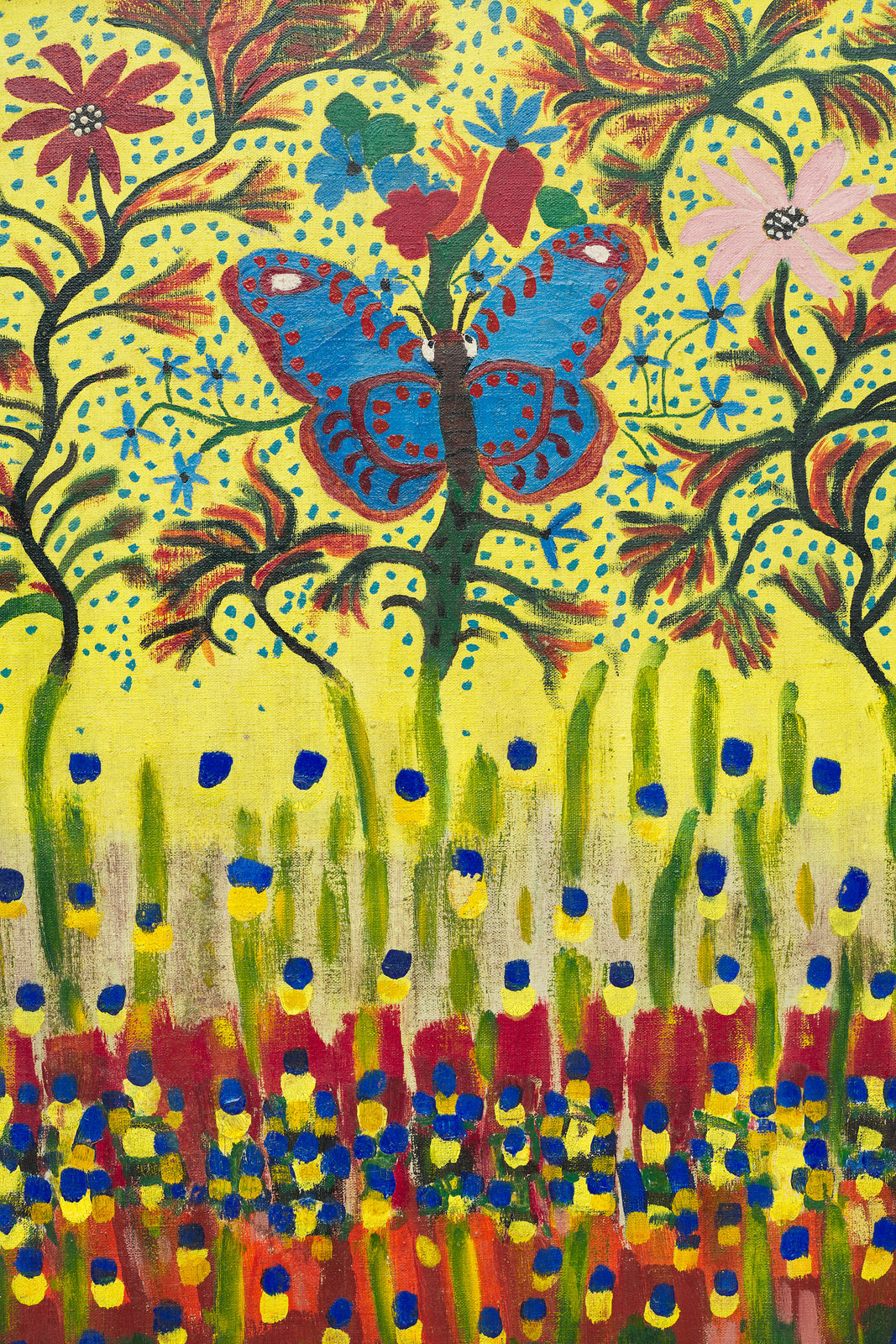 Grauben do Monte Lima, Borboleta, 1962