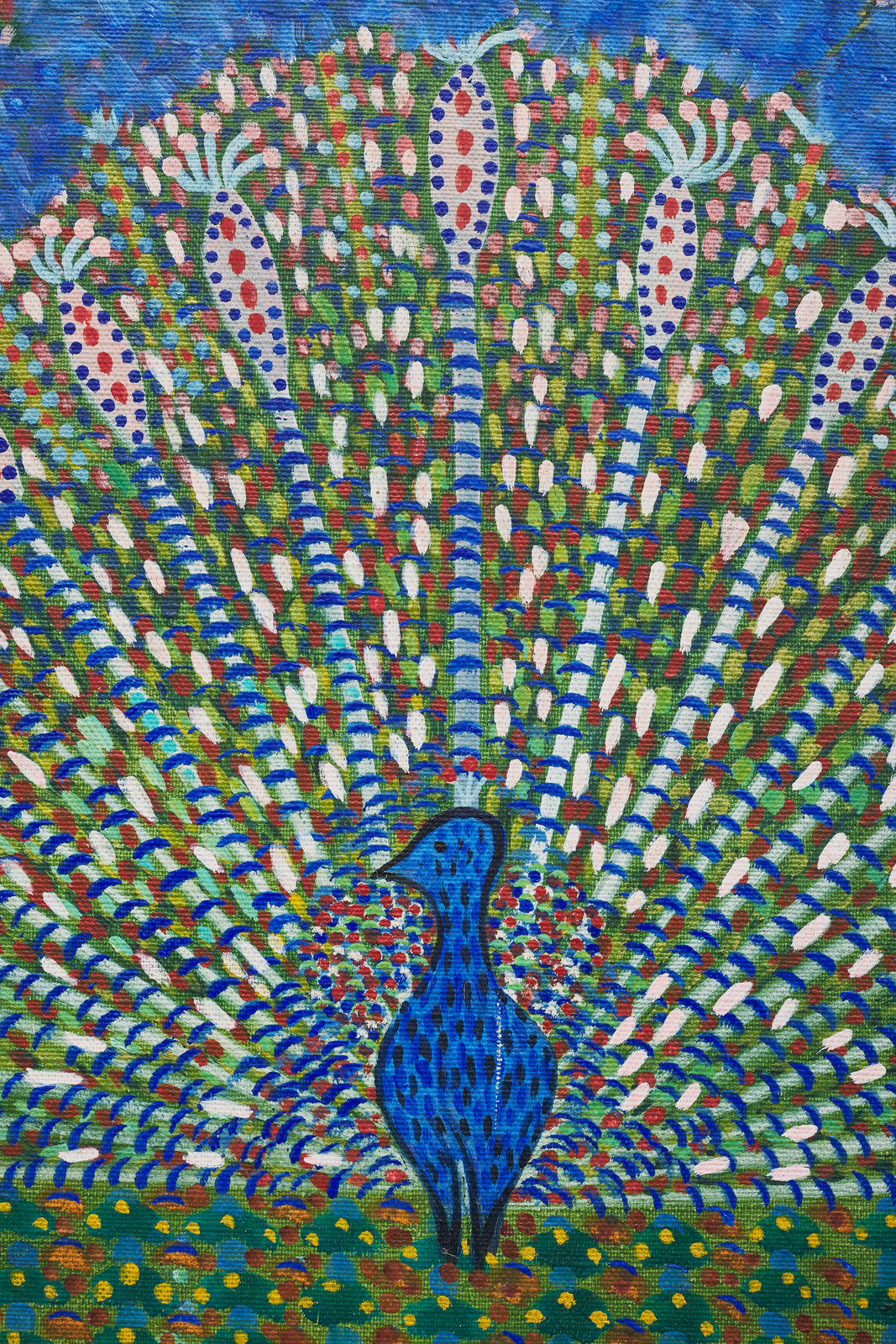 Grauben do Monte Lima, Pavão azul, década de 1960 [1960s]