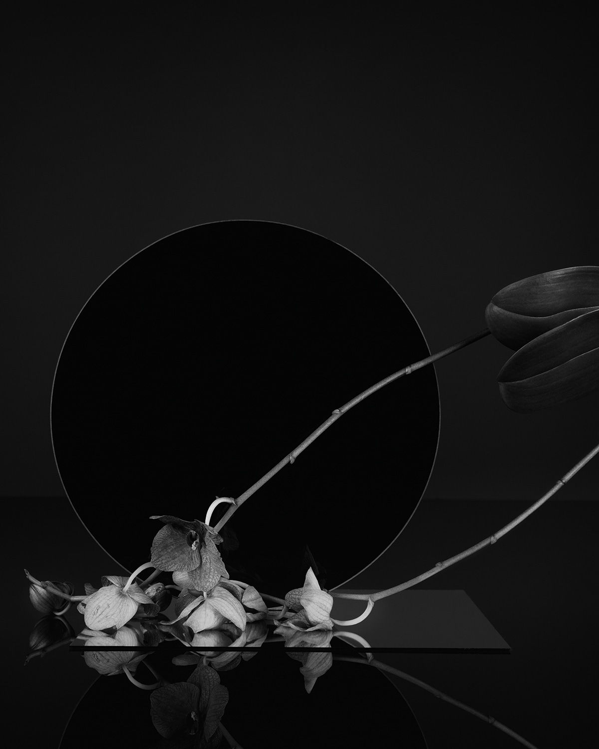 Sarah Jones, Screen (Orchid) (I), 2023