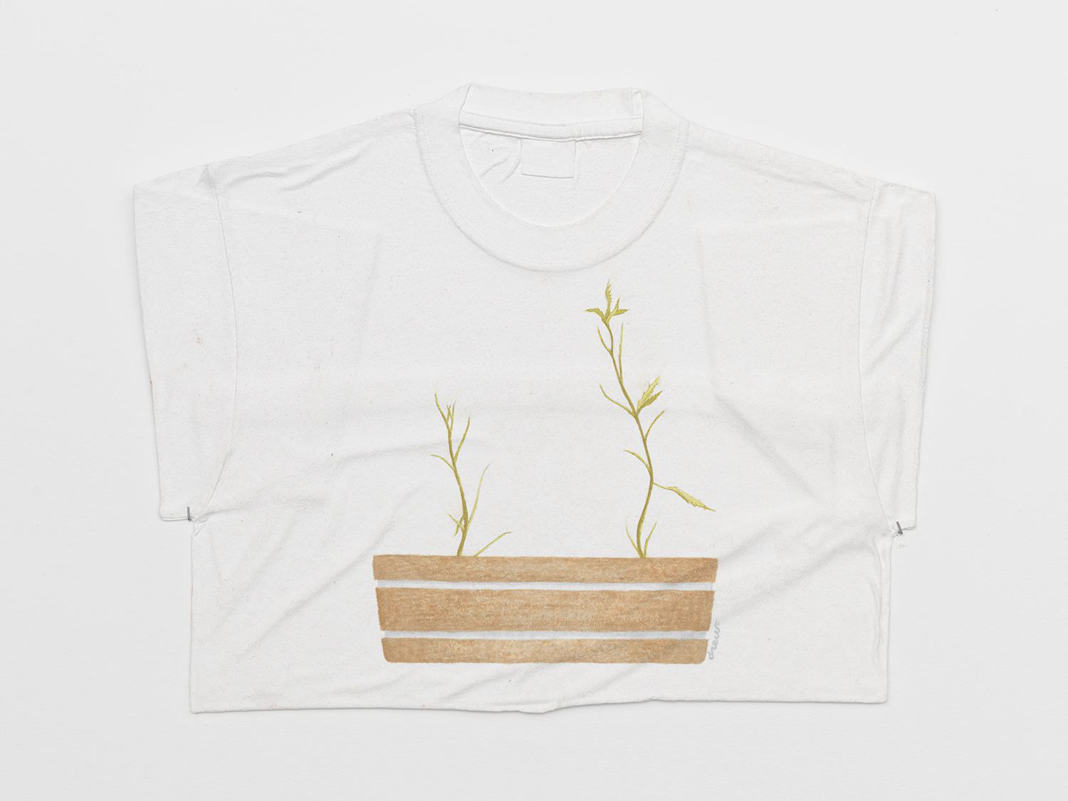 Richard Hughes, Plant, 2016