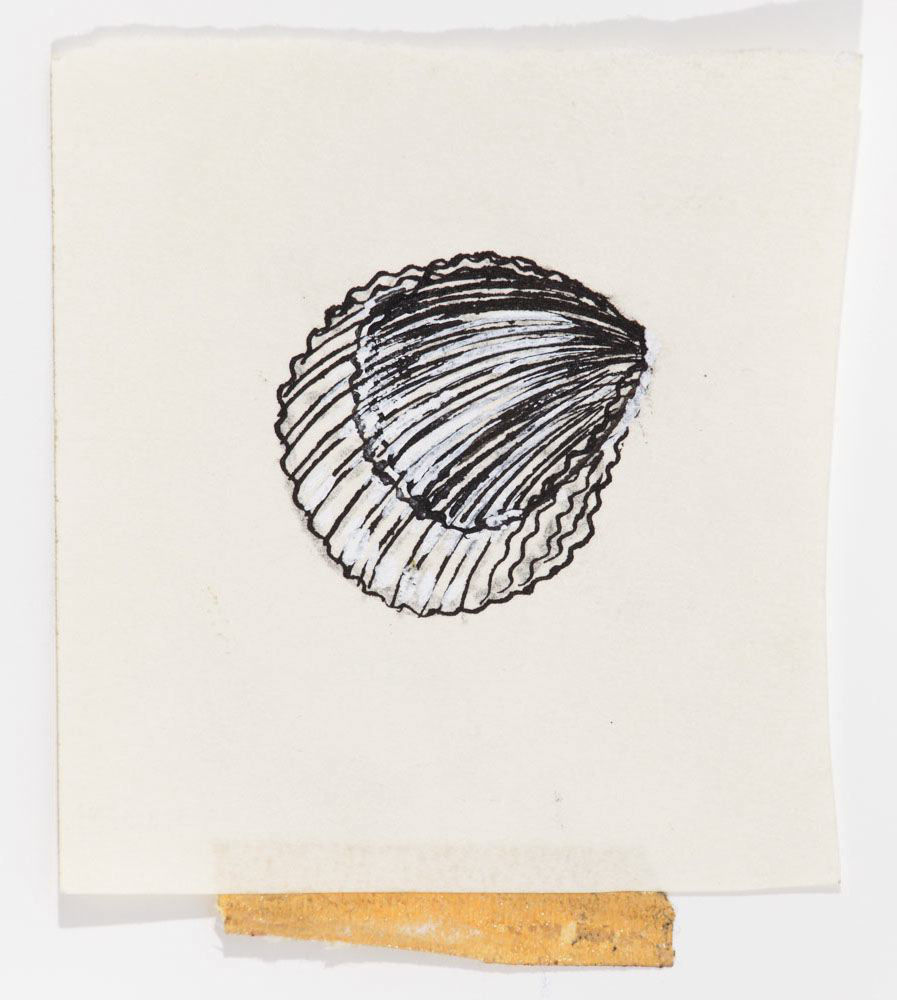 Andy Warhol, Shell, ca. 1955