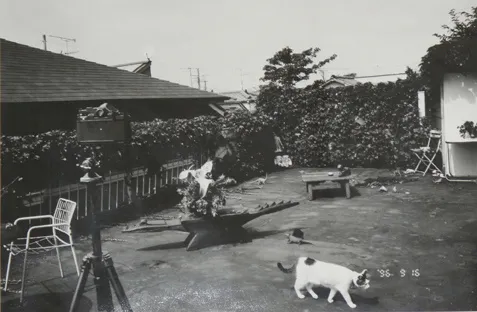 Nobuyoshi Araki, Untitled (Diary), 2005