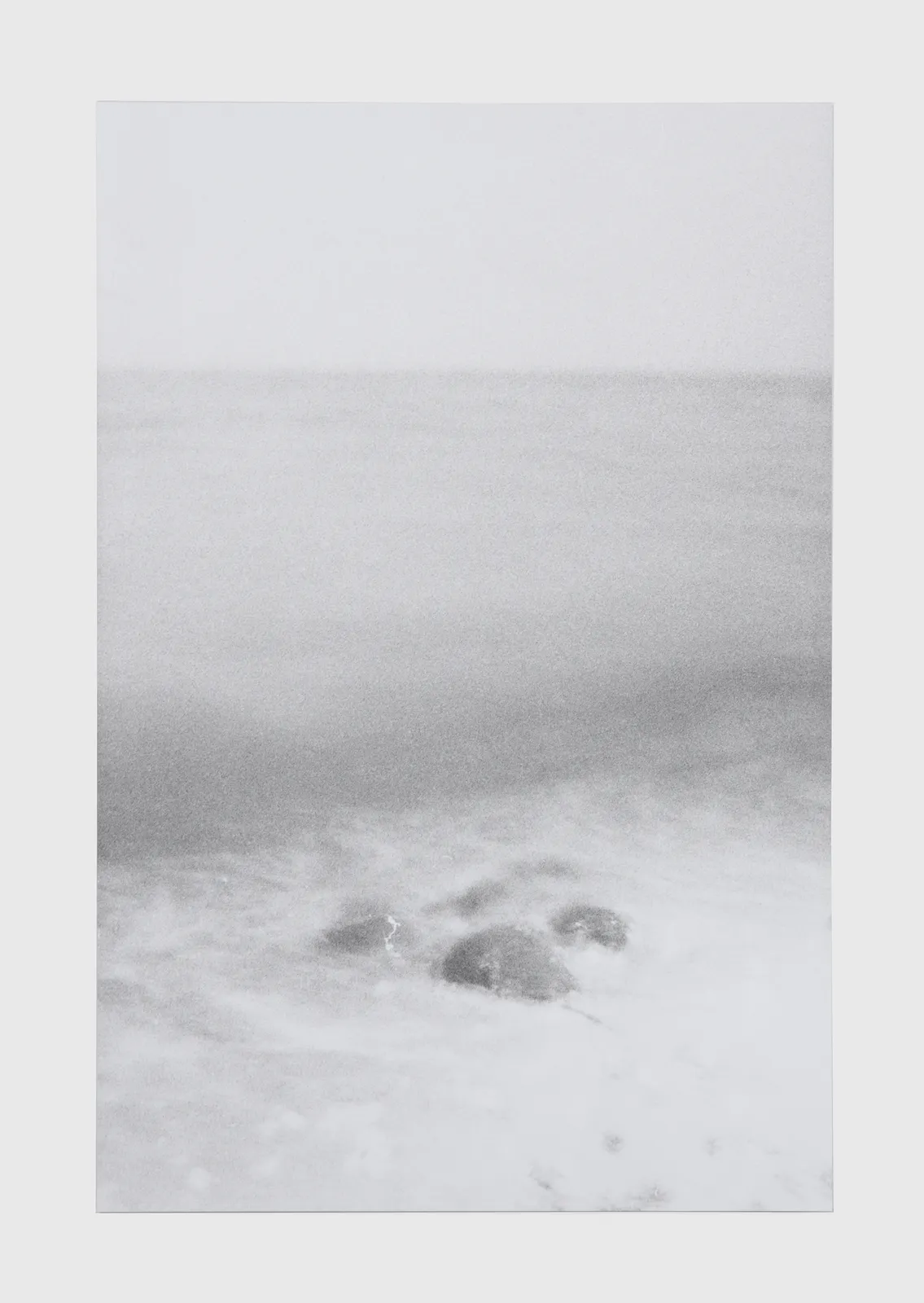 Jochen Lempert, Horseshoe-Crabs with LED Light, 2025