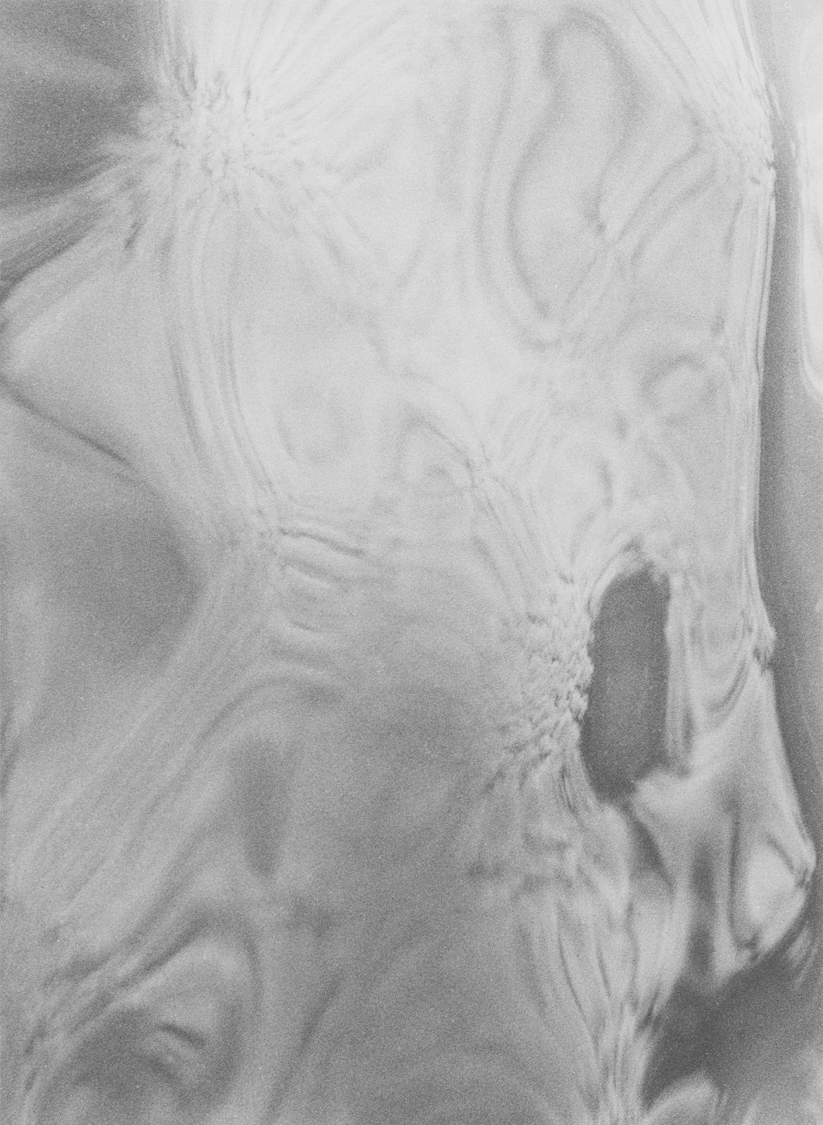 Jochen Lempert, Reflection (Polke and Goya), 2024