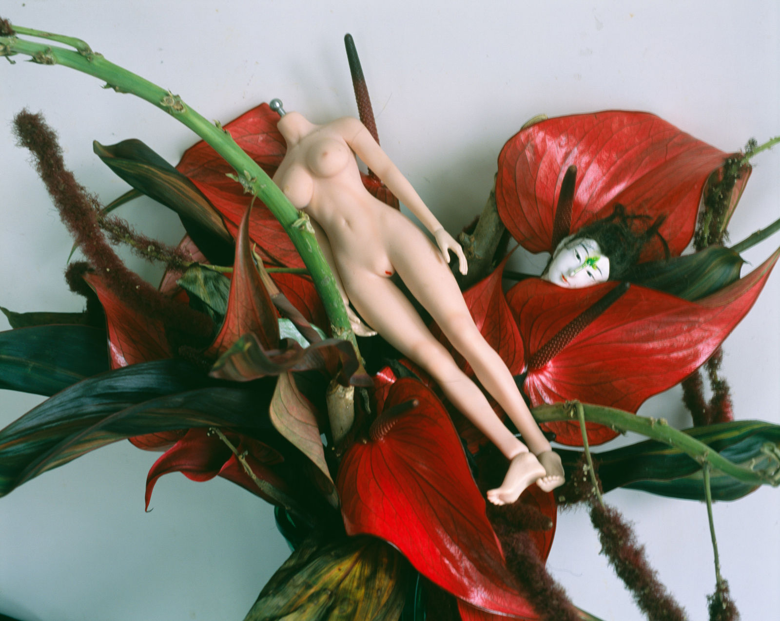 Nobuyoshi Araki, Untitled (Flower Cemetery), 2017