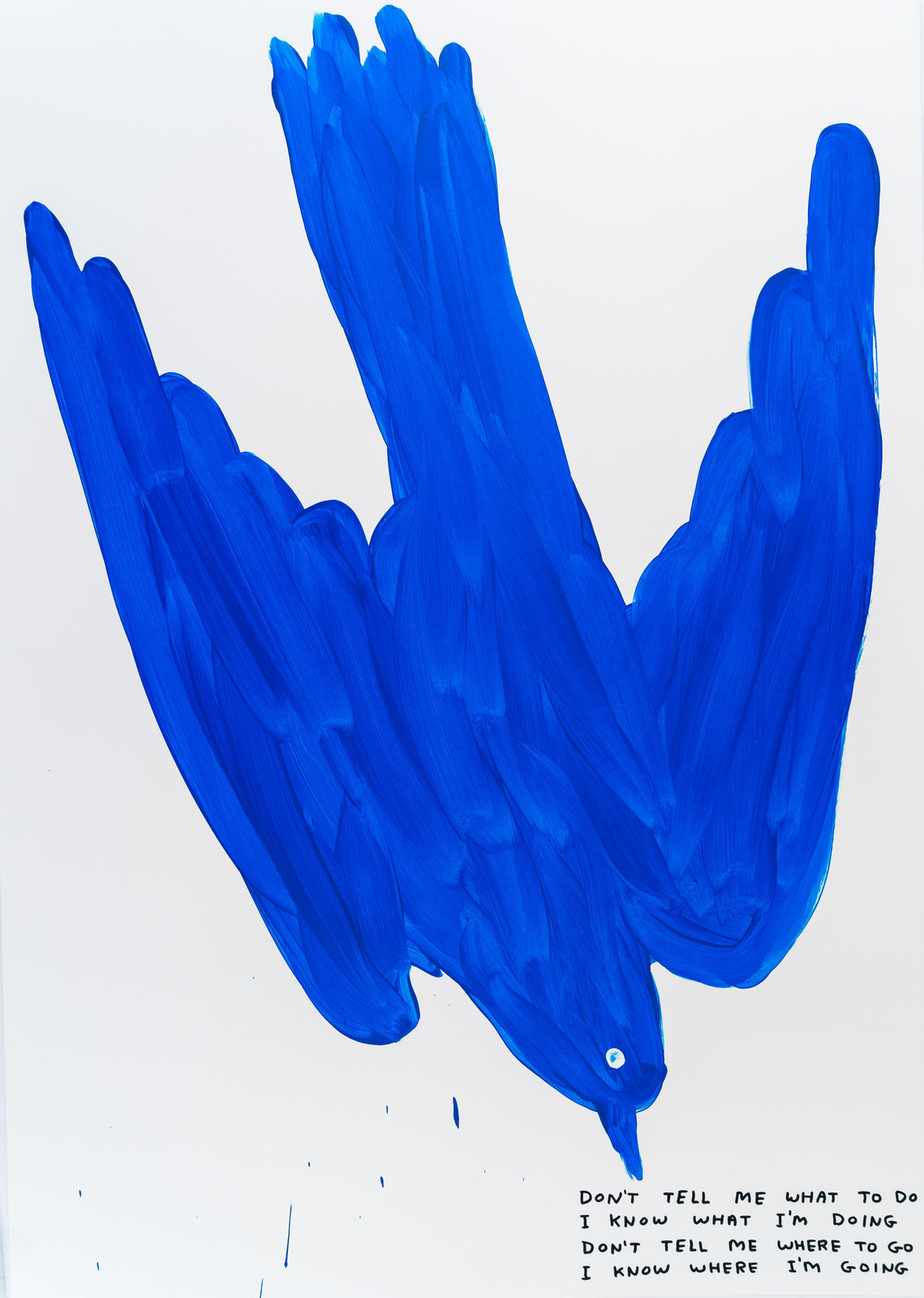 David Shrigley, Untitled (Don't tell me what to do), 2019