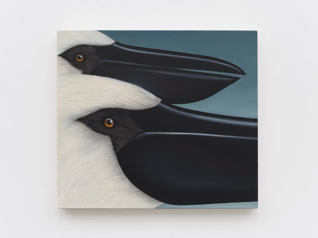 Julie Curtiss, white pelicans and black doves, 2026