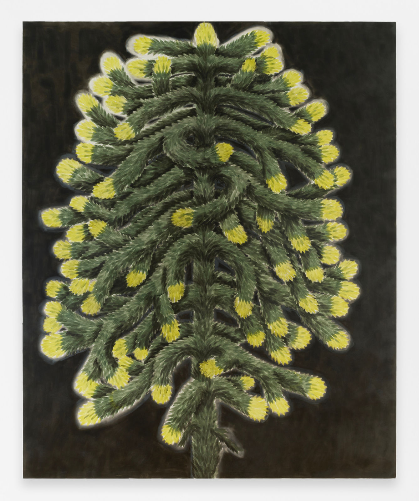 Andrew Sim, portrait of a monkey puzzle, 2025