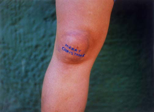 David Shrigley, Merry Christmas, 2002