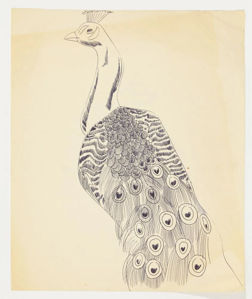 Andy Warhol, Peacock, ca. 1957