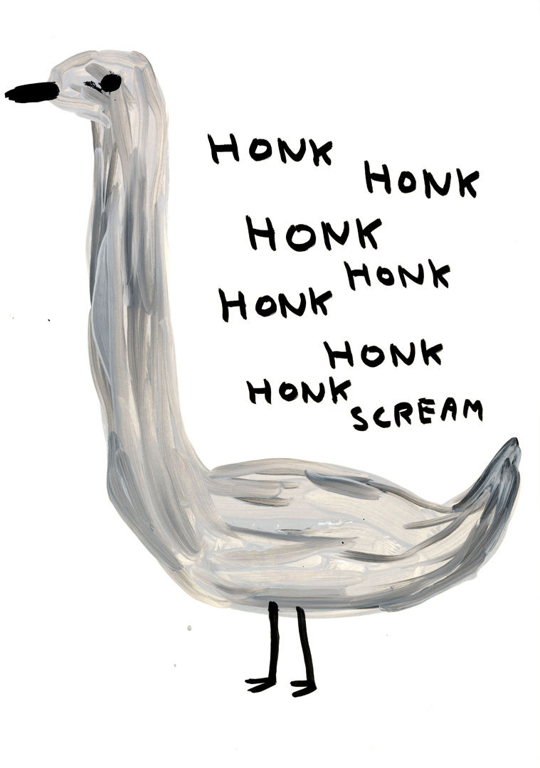 David Shrigley, Untitled (Honk), 2010