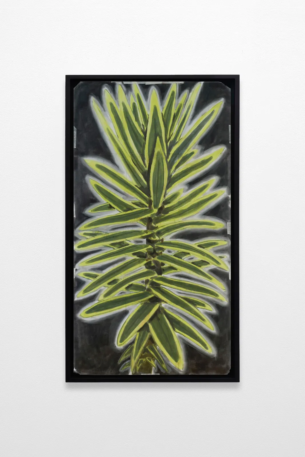 Andrew Sim, portrait of a yucca, Dalston, London, 2025