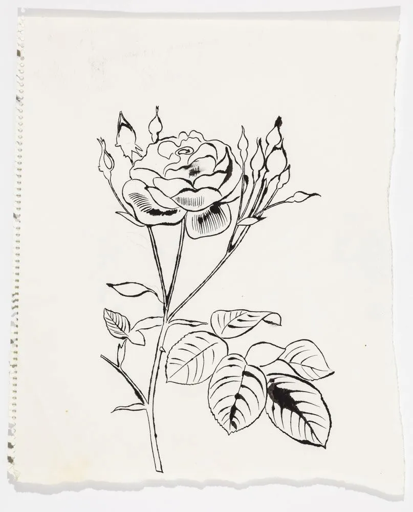 Andy Warhol, Rose With Many Buds, ca. 1957