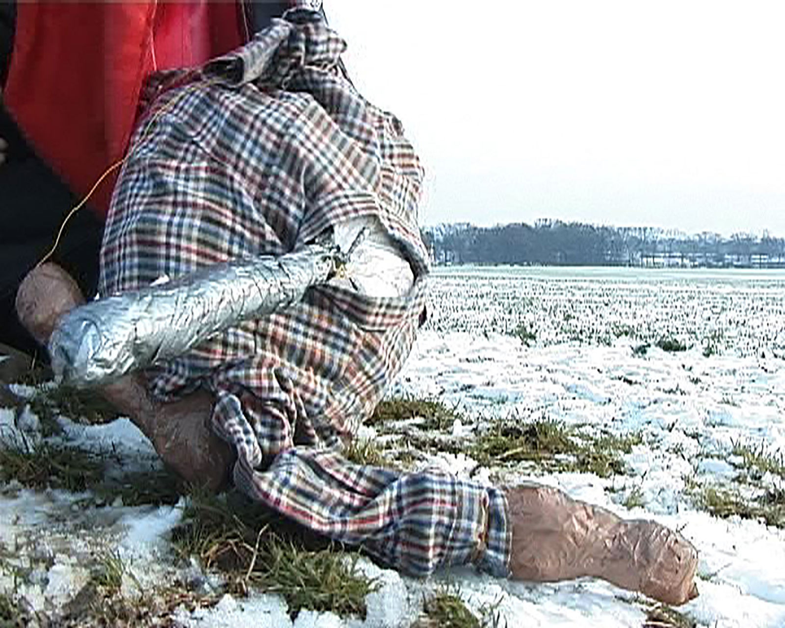 John Bock, Alice Cooper, 2001