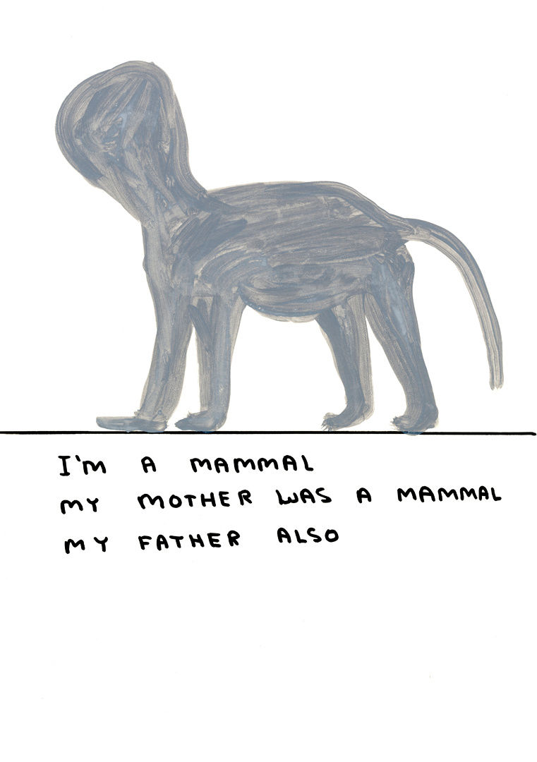 David Shrigley, Untitled (I'm a mammal), 2010