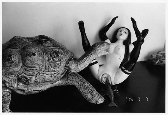 Nobuyoshi Araki, Untitled (Eros Diary), 2015