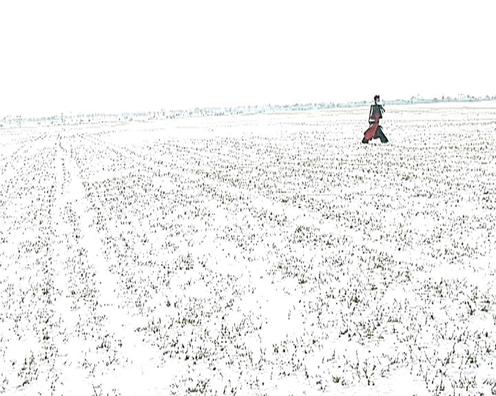 John Bock, Alice Cooper, 2001