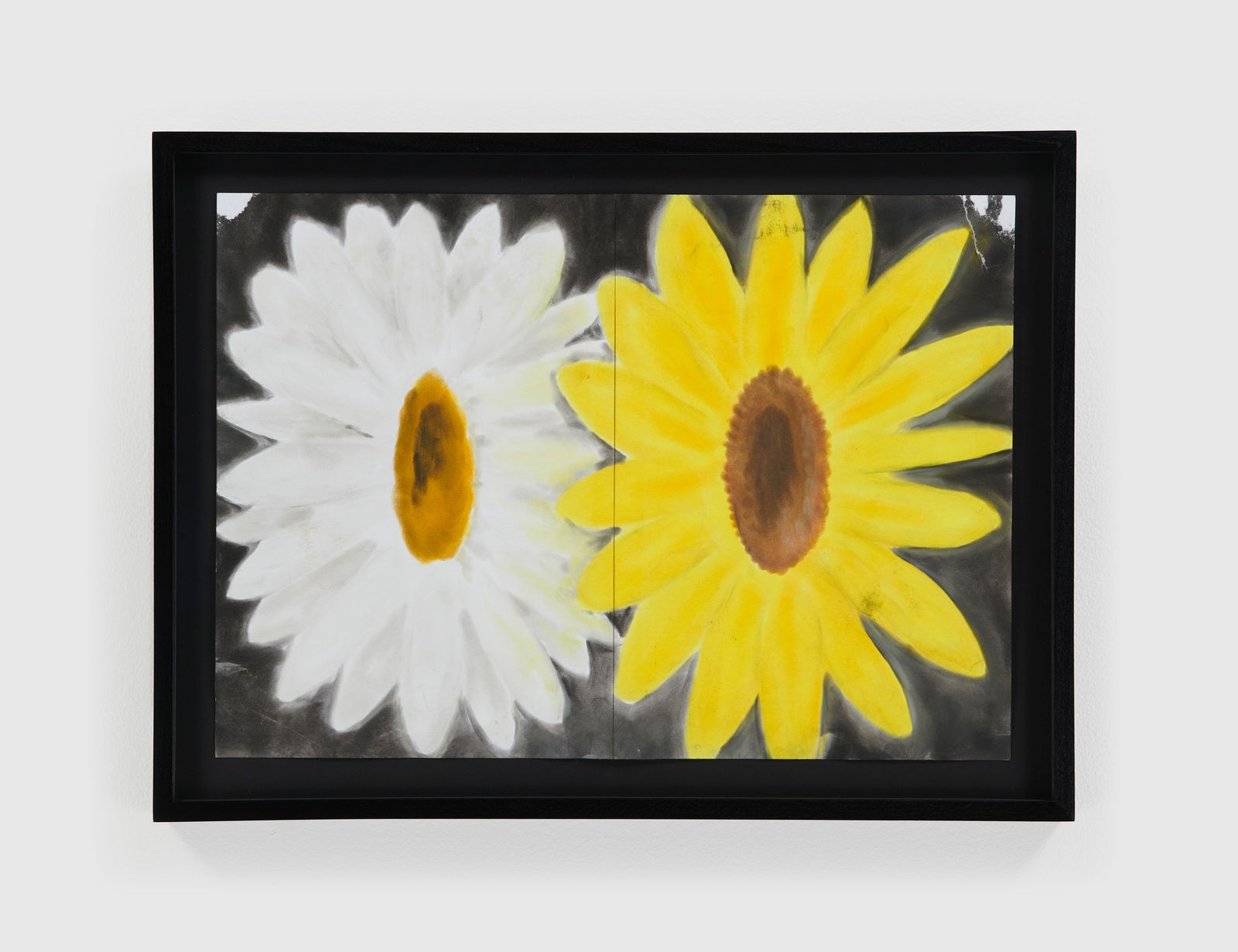 Andrew Sim, A daisy and a sunflower, 2023