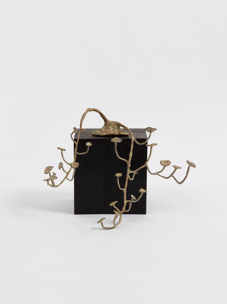 Francis Upritchard, Small Nasturtium Bronze, 2015