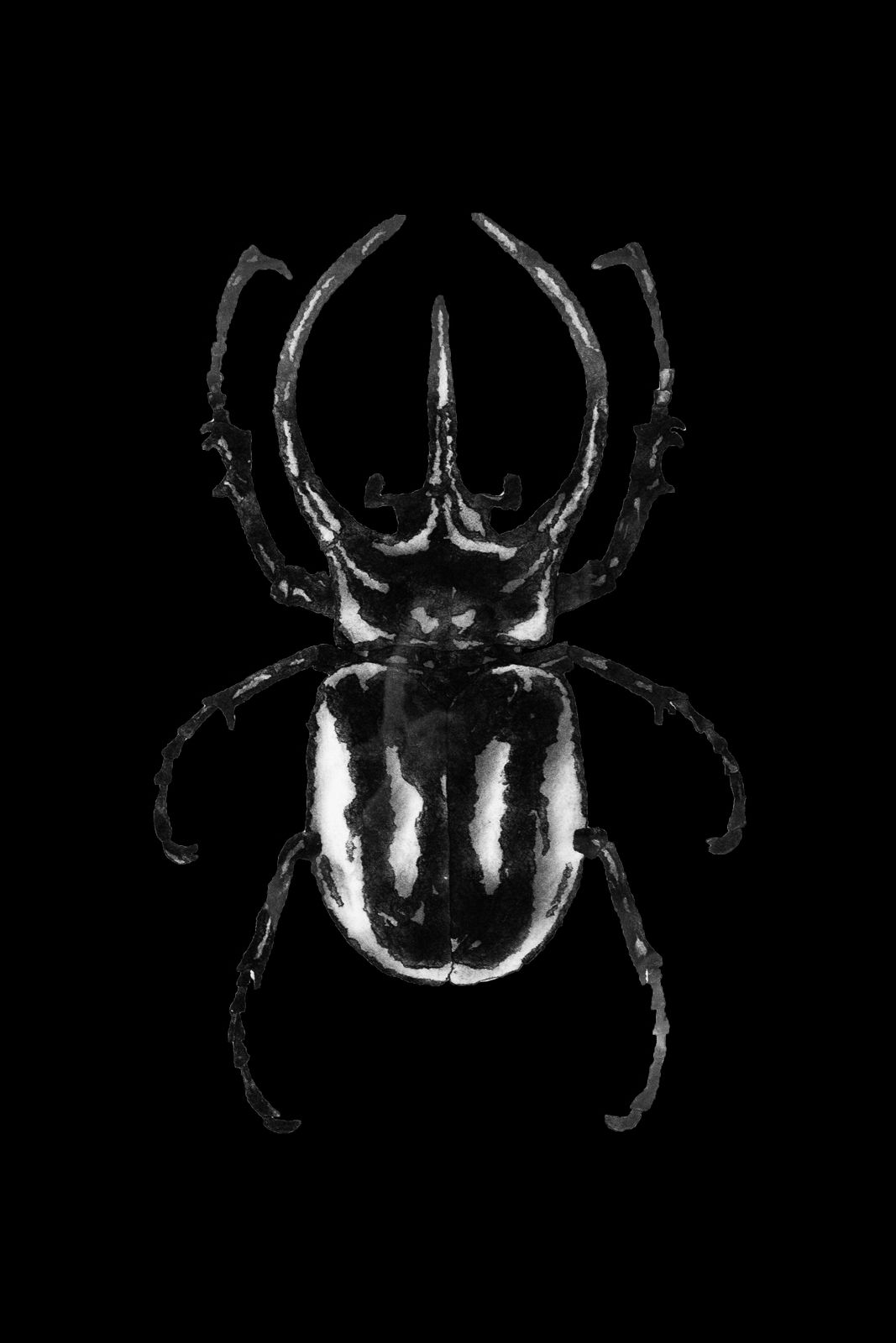 Nadiah Bamadhaj, Study Resolute Series II, 2020