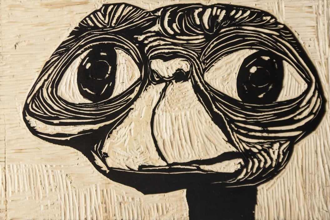 LI Fan, 我想，所以我是85 I think, therefore I am No. 85, 2017