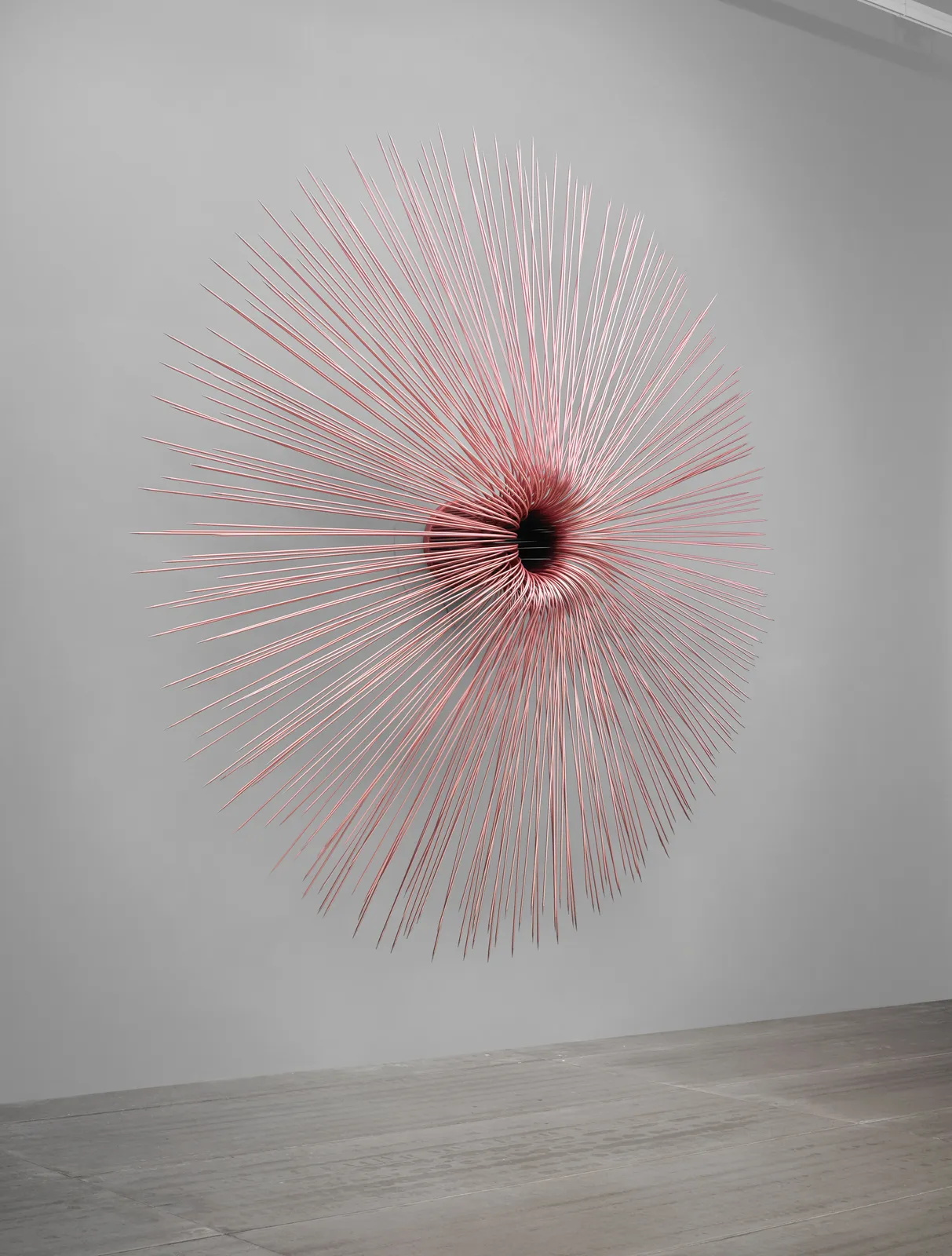 KIM Byoungho, A Memory of the Rule, 2011