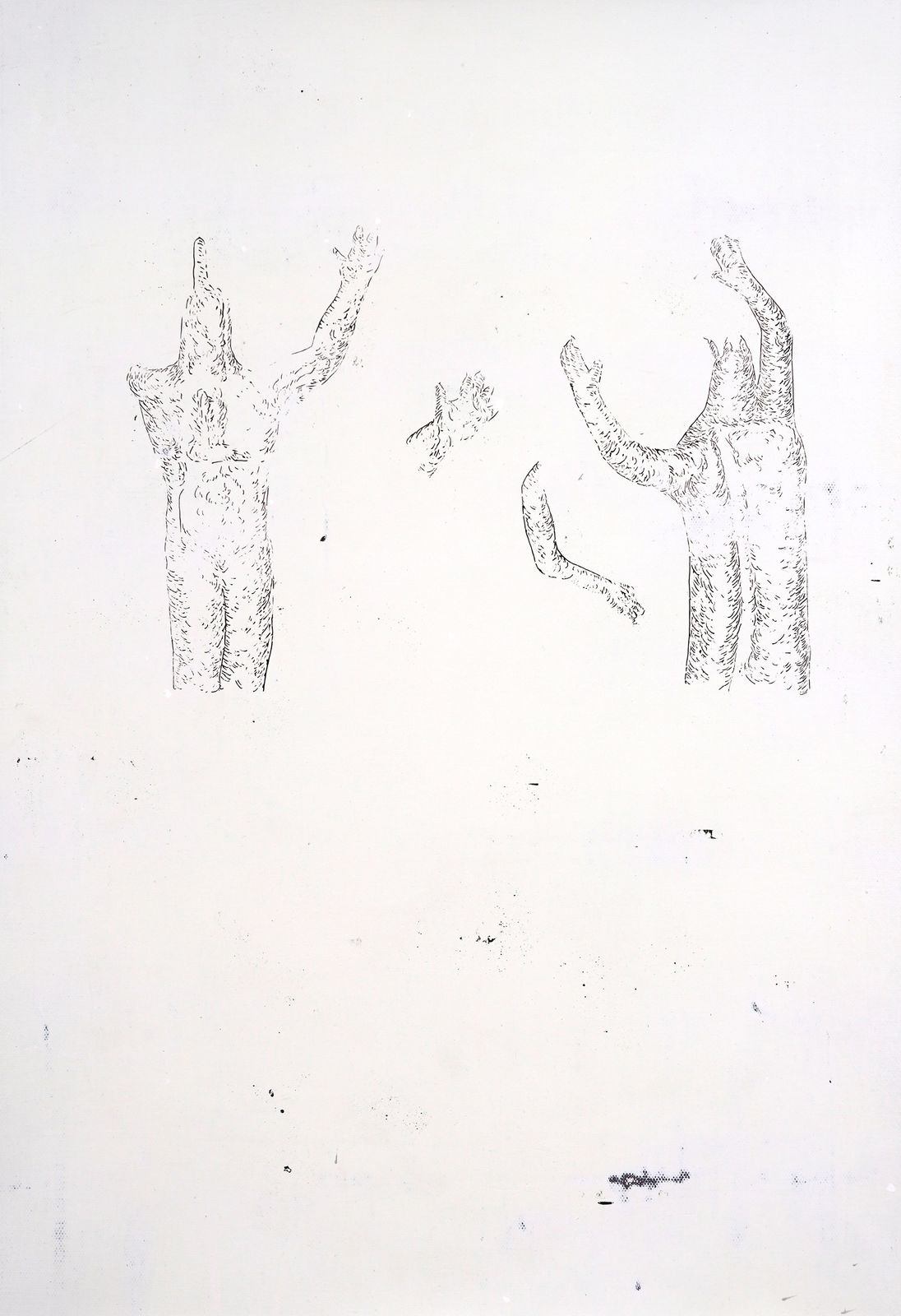 LIM Nosik, WD 36, 2024