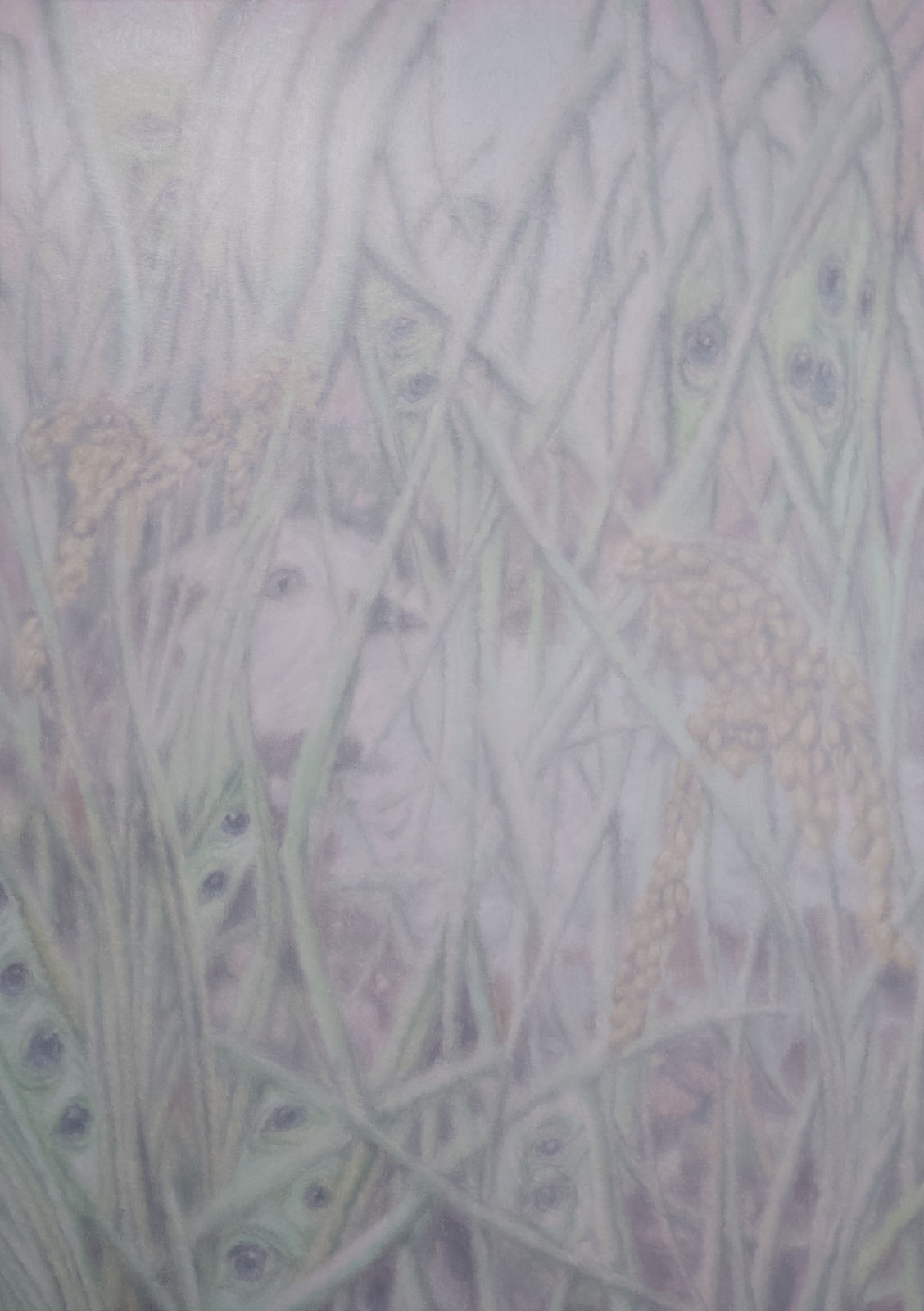 LIM Nosik, Wildflower - Landscape 53 들꽃 - 풍경 53, 2026