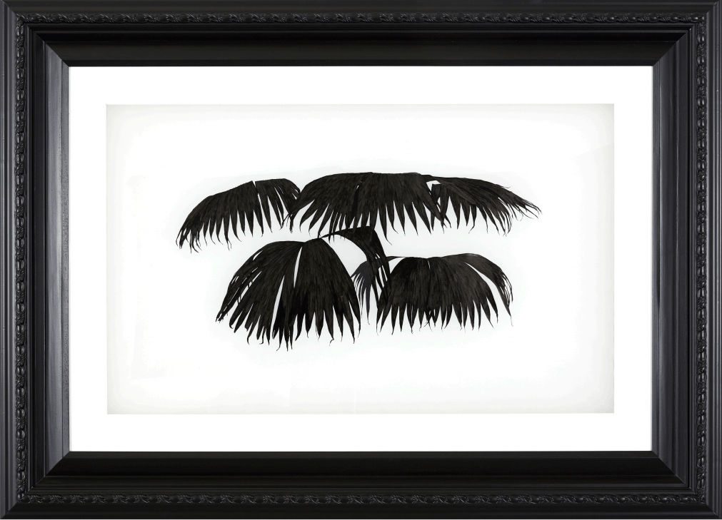 HU Yun, Palm 06 (Untitled) 棕榈 06（无题）, 2018