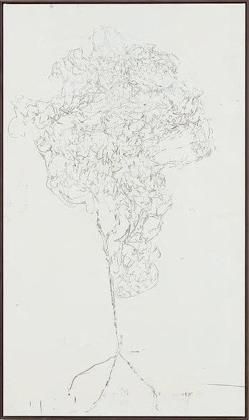 LIM Nosik, GL_45 가는 45, 2022