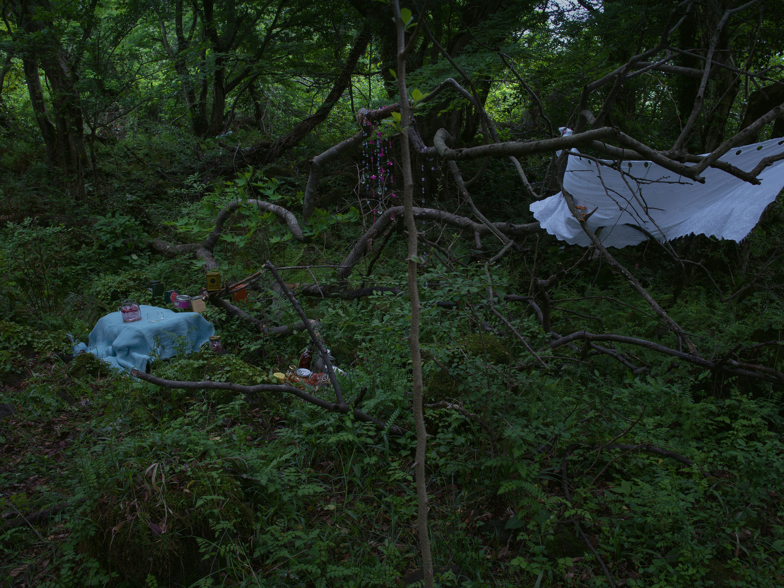 PARK Youngsook, Tears of a Shadow #14그림자의 눈물 #14, 2019