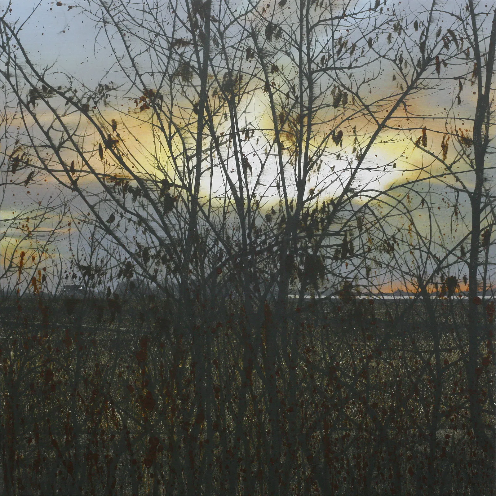 AN Gyungsu, Glow 상기된, 2026