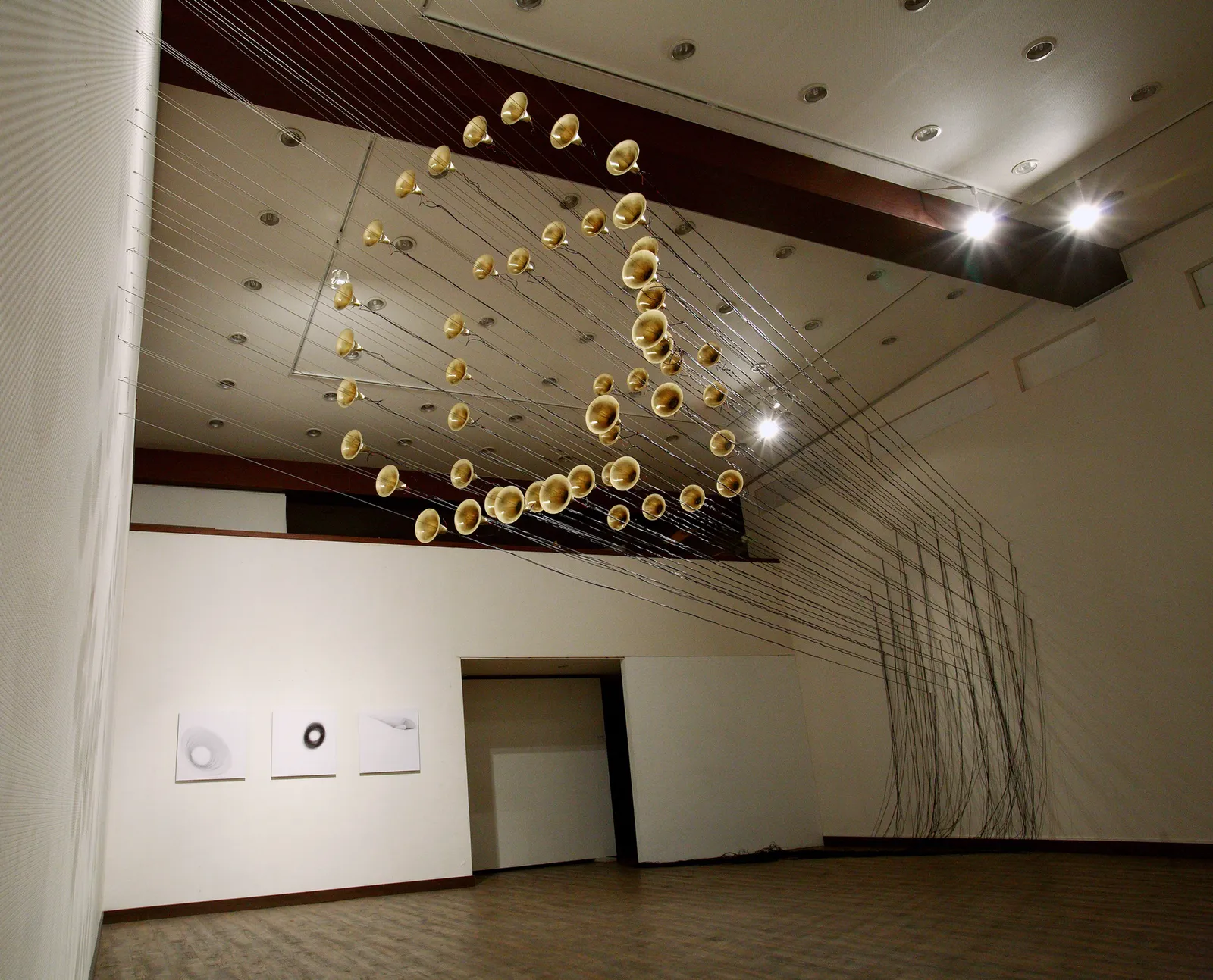 KIM Byoungho, Their Flowers 48, 2006