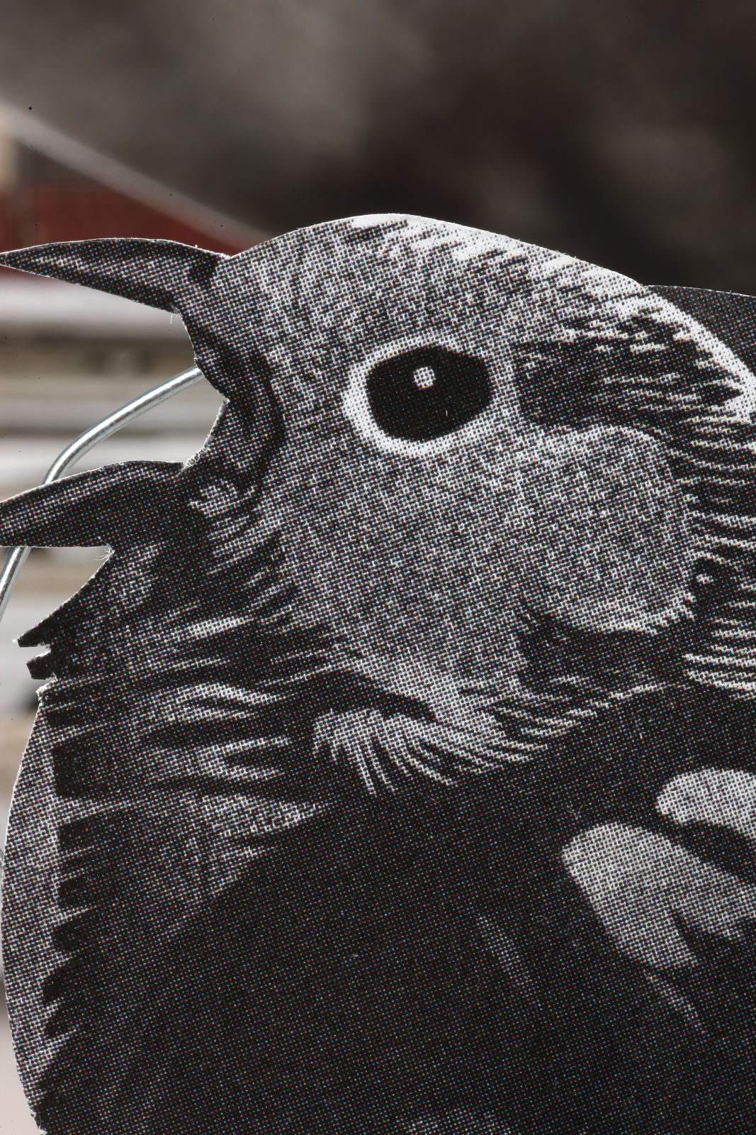 GWON Osang, 2011, November (Bird), 2012