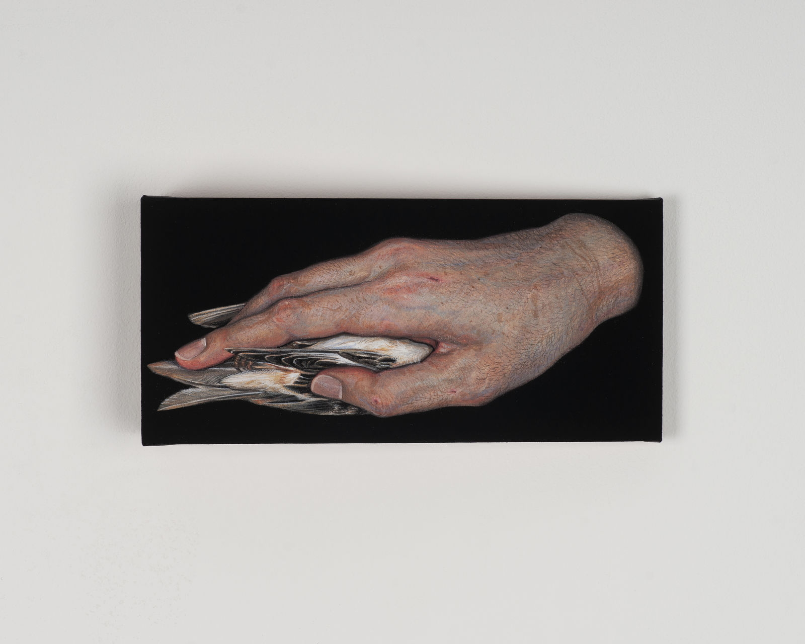 LEE Jinju, Black Warmth 검은 온기, 2026