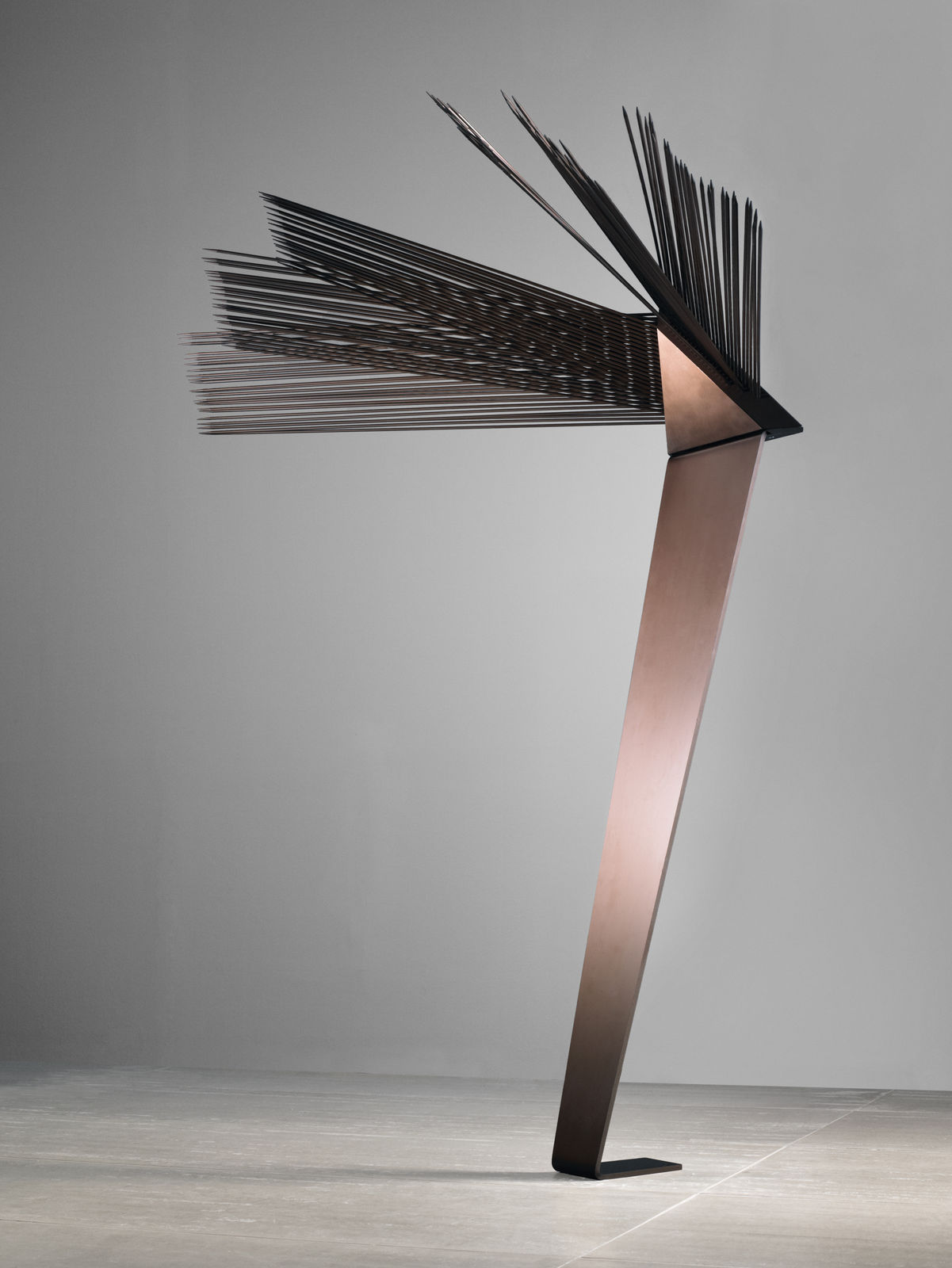 KIM Byoungho, Irreversible Damage, 2011