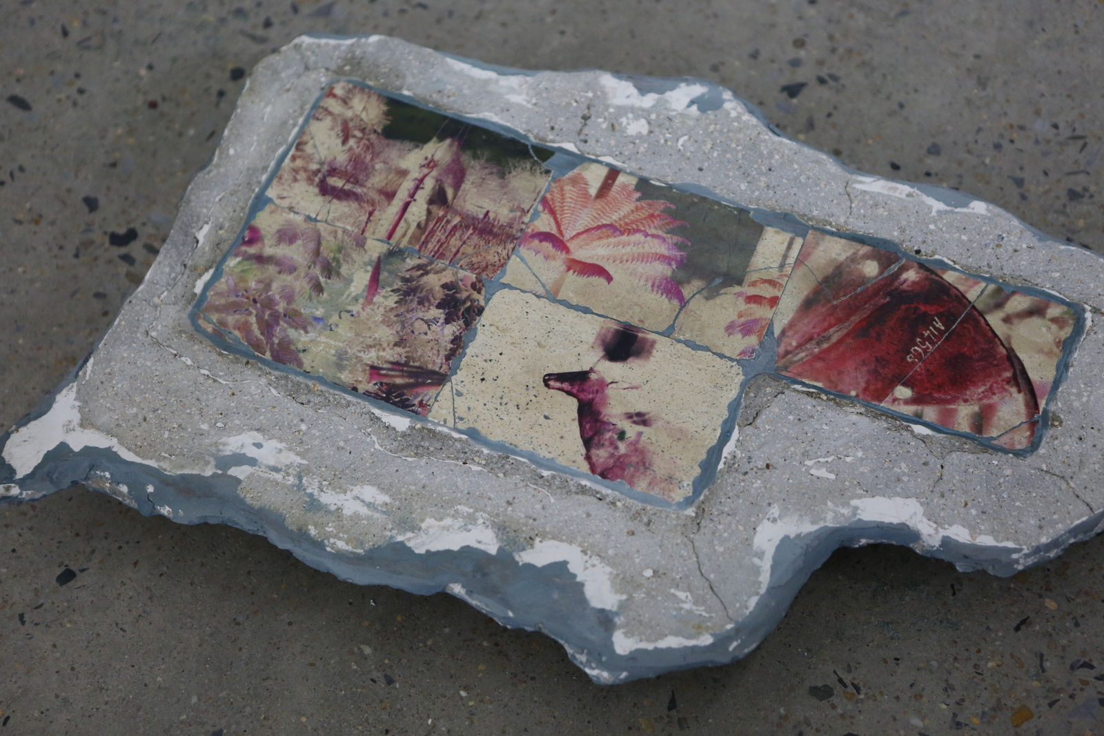 赵玉 Pocono ZHAO Yu, Newcomer, Messenger 01 新来者，信使 01, 2017-2023