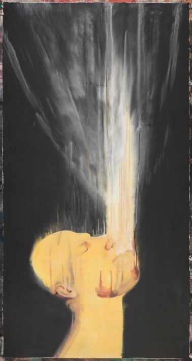 LI Fan, The Swell Season 涌动, 2016