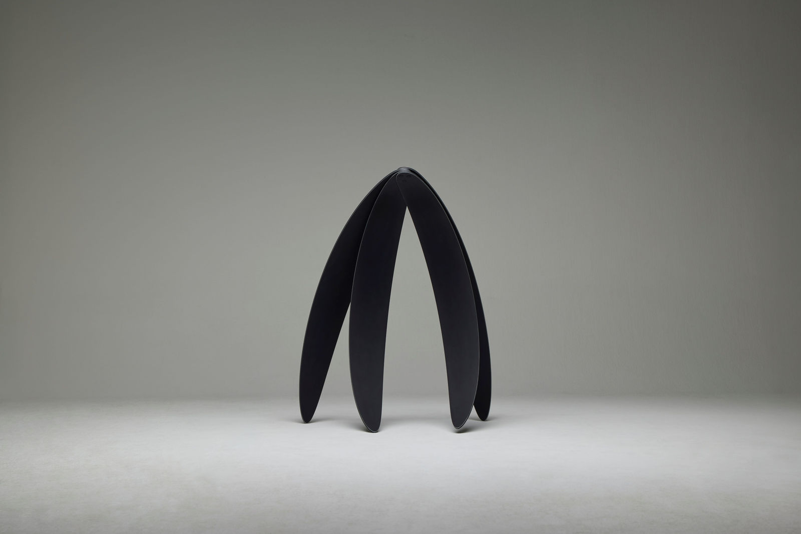 KIM Byoungho, A Section of the Garden-6T4S.MB1, 2025