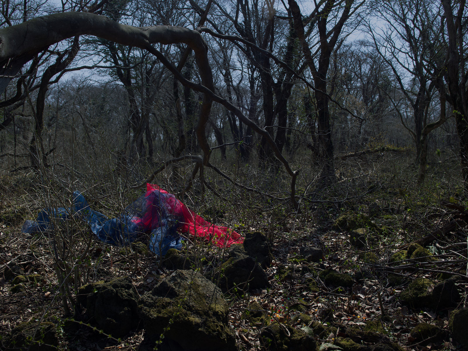 PARK Youngsook, Tears of a Shadow #11 그림자의 눈물 #11, 2019