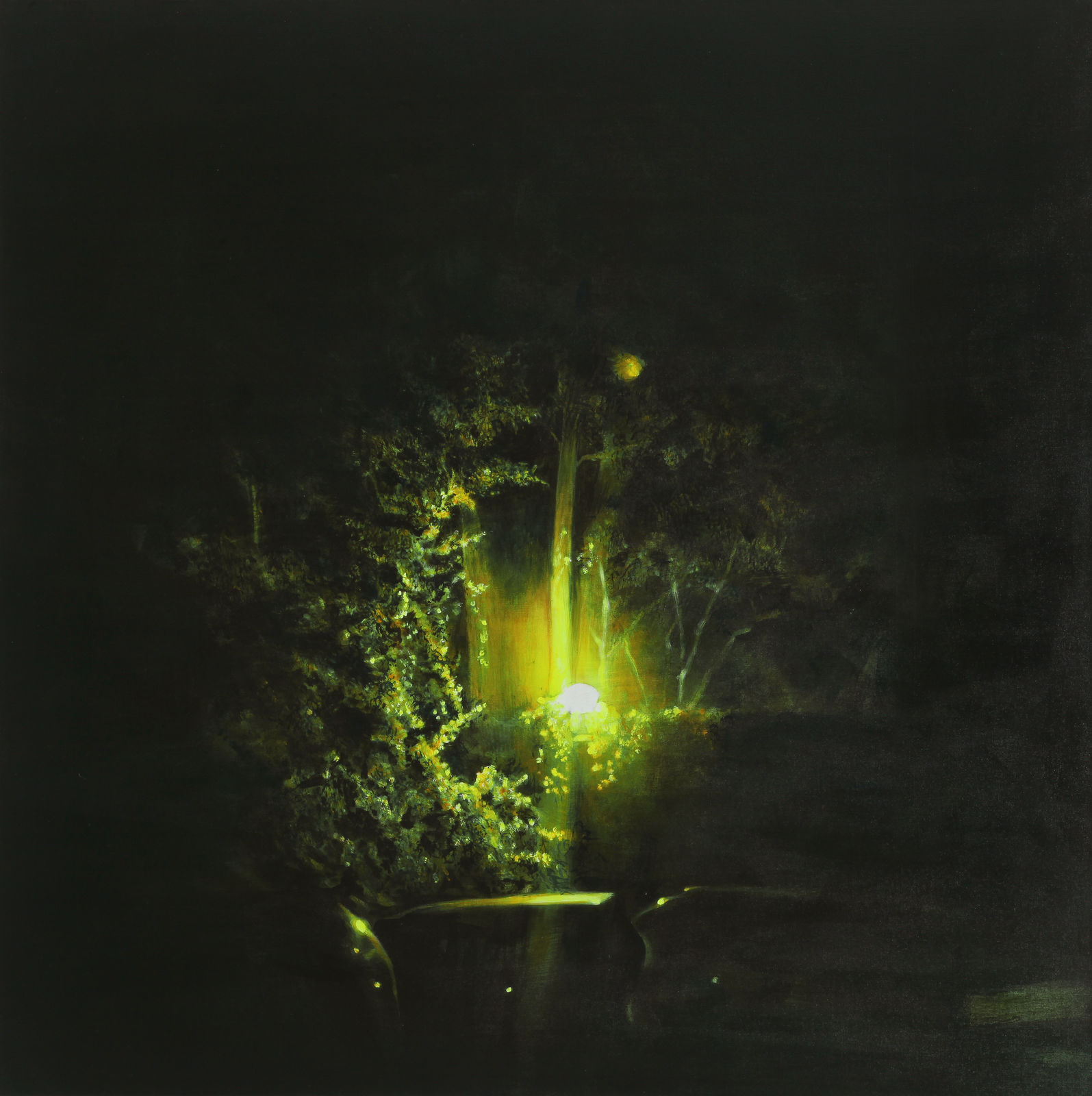 KONG Sunghun, Tree, 2004