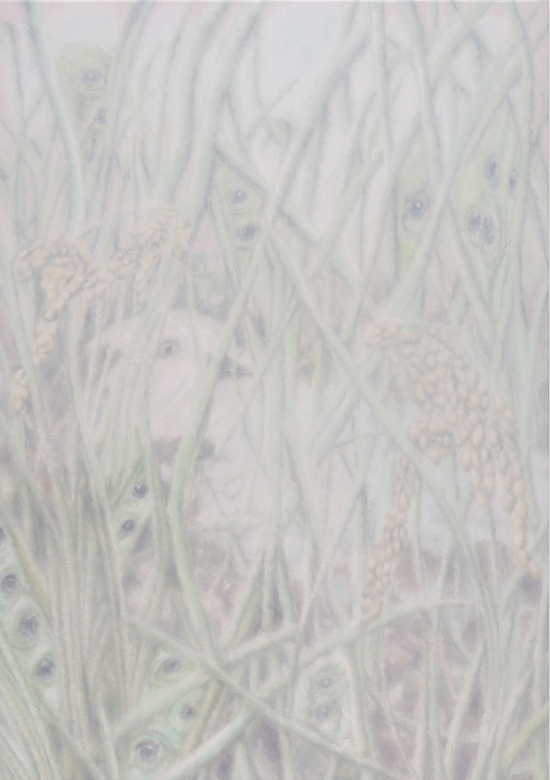 LIM Nosik, Wildflower - Landscape 53 들꽃 - 풍경 53, 2026