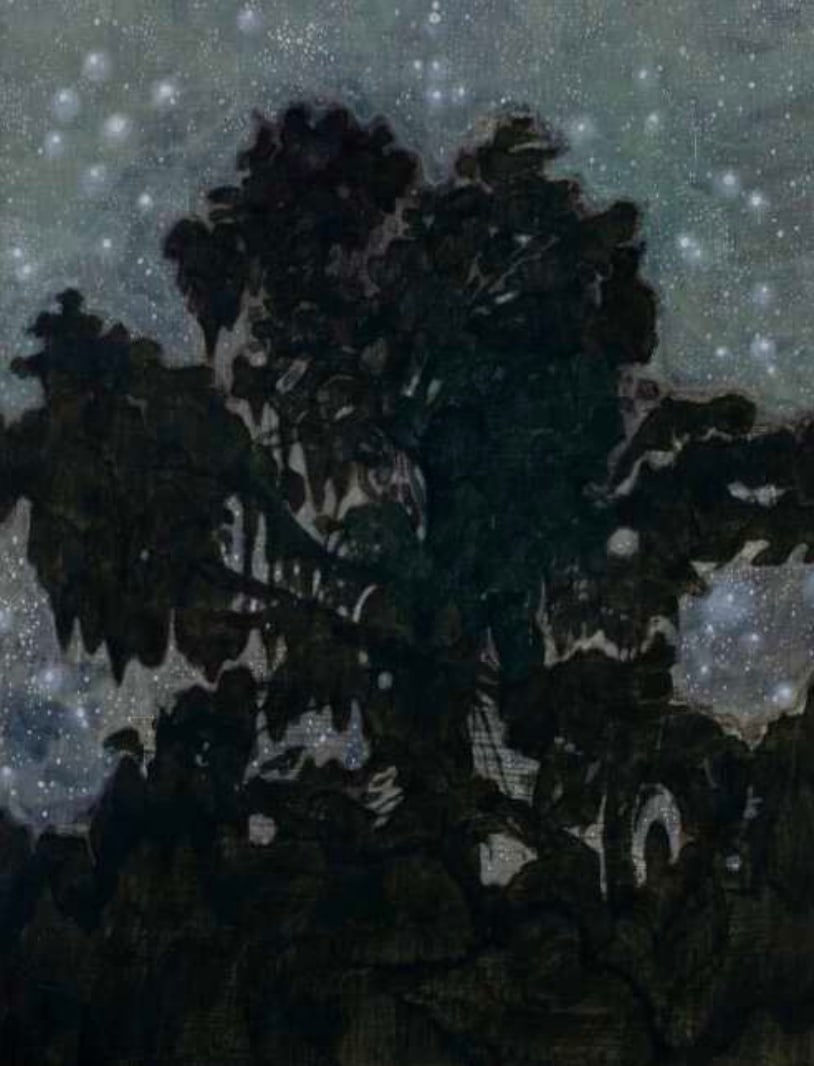 AN Gyungsu, Night Tree 밤나무, 2012