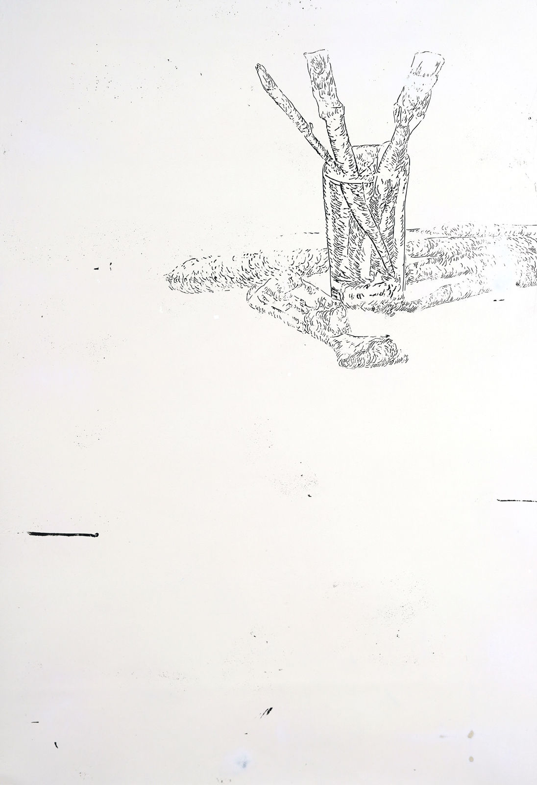 LIM Nosik, WD 30, 2024