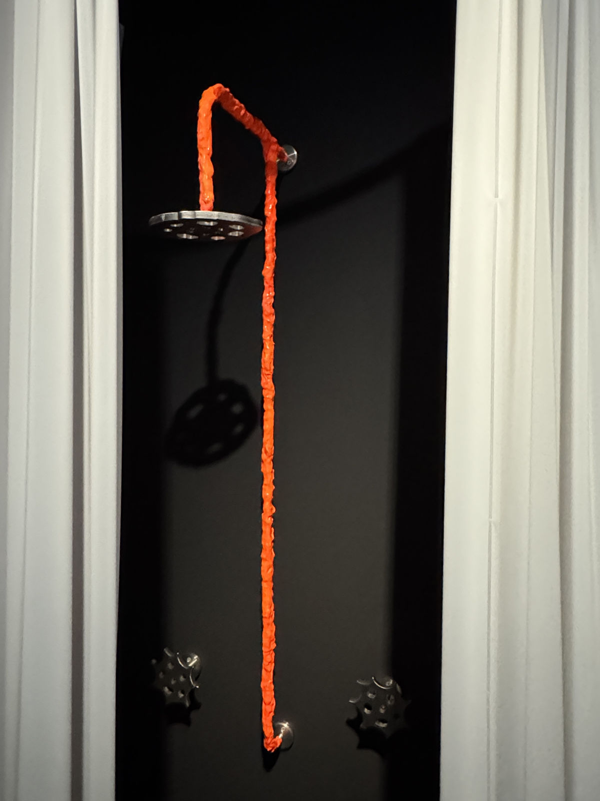 SIM Raejung, 하비의 혈액순환설 1 Loop 1, 2019